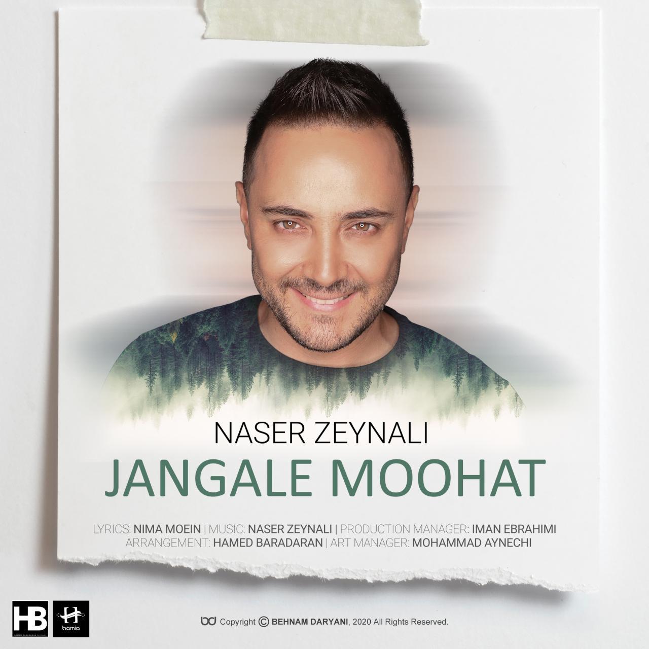 دانلود آهنگ جدید جنگل موهات از ناصر زینعلی